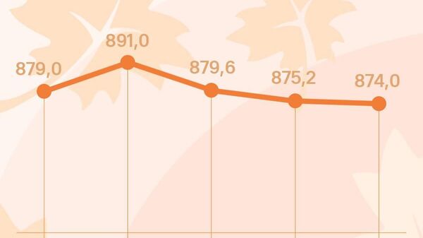 Курс сомони в России незначительно снизится к пятнице, сообщает ЦБ РФ - Sputnik Таджикистан