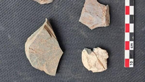 Палеолитический лагерь возрастом около 0,5 млн лет обнаружили в Ховалингском районе, сообщает Нацакадемия наук Таджикистана - Sputnik Таджикистан