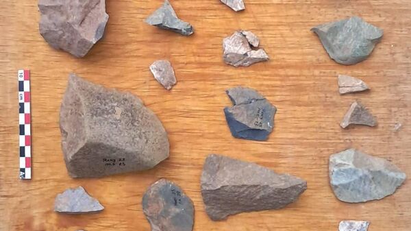 Дар ноҳияи Ховалинг урдӯгоҳи давраи палеолити тақрибан 0,5 млн сола кашф шуд, гузориш медиҳад Академияи миллии илмҳои Тоҷикистон - Sputnik Тоҷикистон