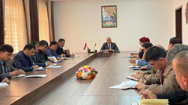 Аз як хонавода ду писарро Ҳасан Ҳусейнро ба аскарӣ бурданд, модарашон натавонист , дигар қарзи бонкиашро пардохт кунад - Sputnik Тоҷикистон