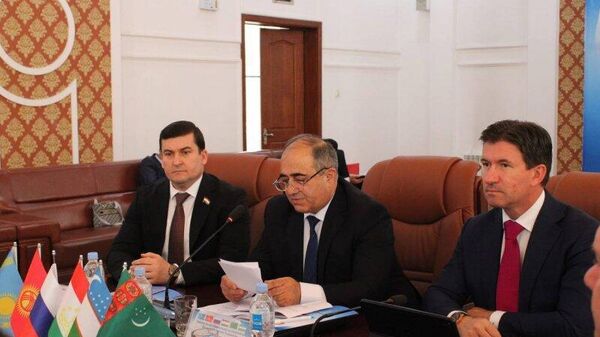 Уровень взаимодействия между Россией и Таджикистаном отличается стабильностью: оно становится многомерным и широко распространяется в разных сферах - Sputnik Таджикистан