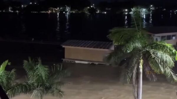 Мексика продолжает уходить под воду: сильные осадки, наводнения и оползни унесли жизни более 40 человек и сбежавшего из зоопарка бенгальского тигра - Sputnik Таджикистан