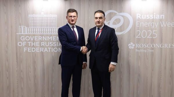 Встреча министра энергетики и водных ресурсов с заместителем председателя правительства РФ - Sputnik Таджикистан