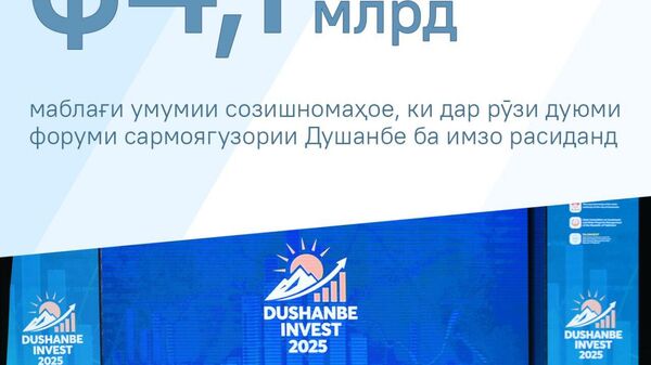 Энергетика дар форуми сармоягузории Душанбе аз самтҳои асосии ҷалби маблағҳо шуд - Sputnik Тоҷикистон