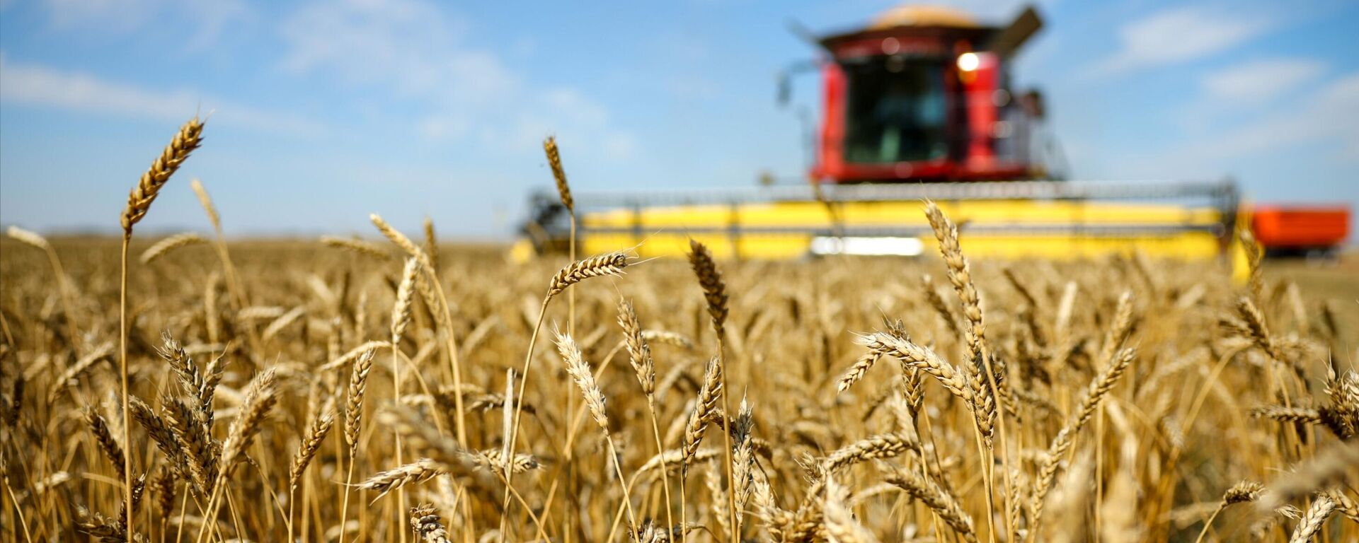 Уборка урожая пшеницы - Sputnik Тоҷикистон, 1920, 20.10.2025