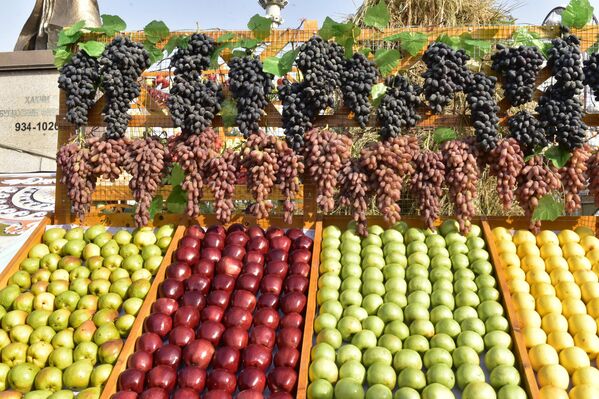 А также лицезреть фрукты, наполненные солнцем Таджикистана. - Sputnik Таджикистан