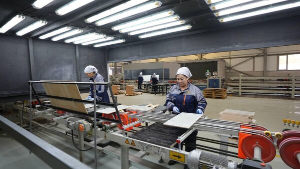Промышленное предприятие в северной части района Исмоили Сомони Душанбе  - Sputnik Тоҷикистон