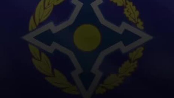 Конфронс дар Душанбе нишон дод, ки марзҳои ҷанубии ИДМ барои ҷилавгирӣ аз қочоқи маводи мухаддир ва терроризм чораҳои муассир талаб мекунанд - Sputnik Тоҷикистон