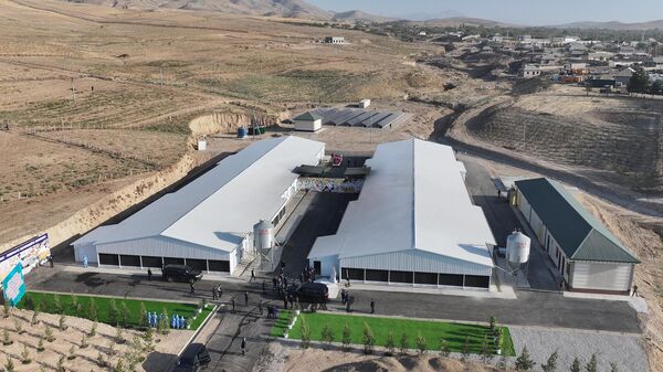 Птицефабрика в селе Пушинг Дангаринского района - Sputnik Тоҷикистон