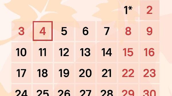Мигрантов в РФ, как и всю страну, ждет короткая неделя в ноябре - Sputnik Таджикистан