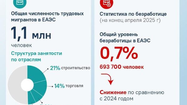 В ЕАЭС трудится более миллиона мигрантов - Sputnik Таджикистан