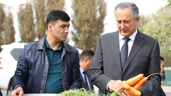 Дар ноҳияи Ҷайҳун аз ҳар гектар замин аз 400 то 500 тоннаӣ сабзӣ ҳосил шудааст - Sputnik Тоҷикистон