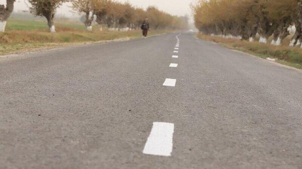 Сокинони деҳаи Орзуи ҷамоати деҳоти Қумсангир 1,2 километр роҳро мумфарш карданд - Sputnik Тоҷикистон
