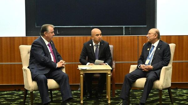 Эмомалӣ Раҳмон дар ҳошияи ҳамоиши СММ оид ба рушди иҷтимоӣ дар Қатар бо президенти Покистон Осиф Алӣ Зардорӣ мулоқот кард - Sputnik Тоҷикистон