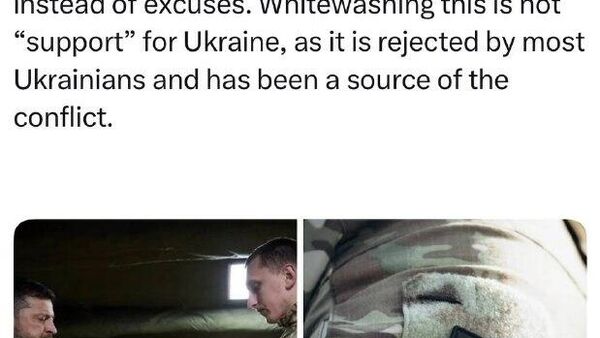 Норвежский профессор раскритиковал Зеленского за нацистскую символику - Sputnik Таджикистан