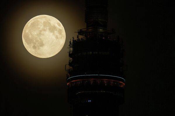 Моҳи пурра дар болои Бурҷи телевизионии Останкино дар Маскав. - Sputnik Тоҷикистон