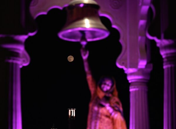 Манзараи Моҳи обӣ дар Деҳлии Нав, Ҳиндустон. Манзараи Моҳи обӣ дар Деҳлии Нав, Ҳиндустон. - Sputnik Тоҷикистон