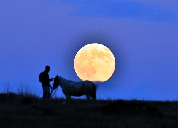 Моҳи пурра дар ноҳияи Сариқамиши Карси Туркия дар соатҳои шом дар паси мард ва асп дида мешавад. Моҳи пурра дар ноҳияи Сариқамиши Карси Туркия дар соатҳои шом дар паси мард ва асп дида мешавад. - Sputnik Тоҷикистон