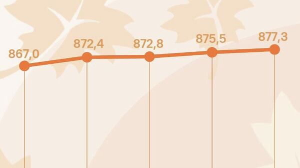 Курс сомони в России подрастет ещё почти на 2 рубля к пятнице, передает ЦБ РФ - Sputnik Таджикистан