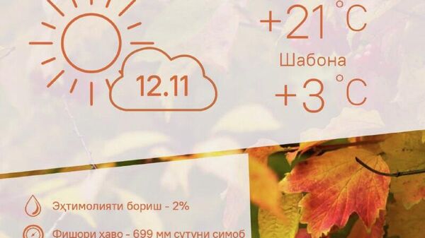 Офтобӣ ва гарм: ин пешгӯии обу ҳаво дар Душанбе барои 12 ноябр мебошад - Sputnik Тоҷикистон