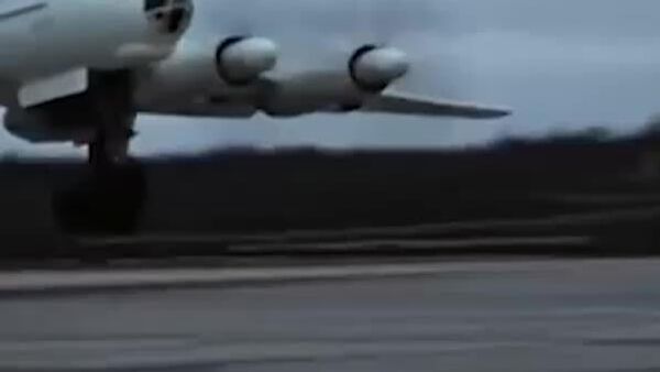 Тавлиди Хирси ҳастаӣ - Sputnik Тоҷикистон