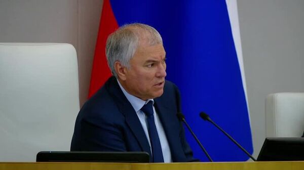 🪪Водительские права граждан стран, где русский язык официальный, могут признать в России, сообщил спикер Госдумы Вячеслав Володин - Sputnik Таджикистан