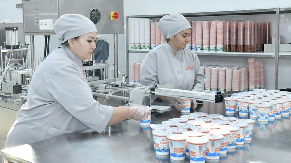 Предприятие по производству молочной продукции Агропромышленного комплекса Саховат в Худжанде.  - Sputnik Тоҷикистон