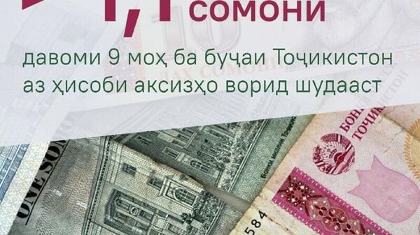 Буҷаи Тоҷикистон аз аксизҳои берунӣ дар нуҳ моҳ беш аз 761 млн сомонӣ даромад ба даст овардааст - Sputnik Тоҷикистон