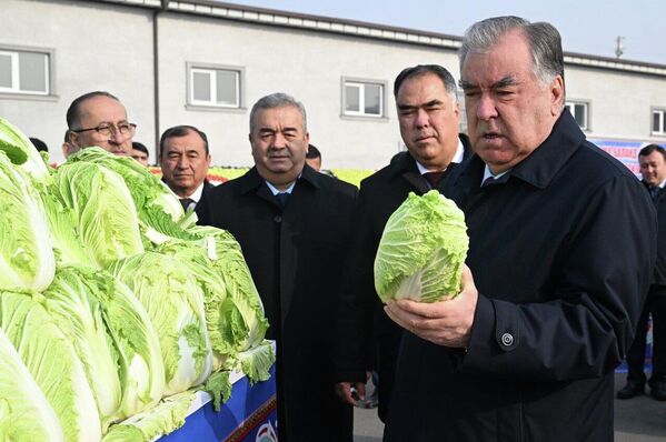 Дар ноҳияи Бобоҷон Ғафуров яхдон барои нигоҳдории 600 тонна маҳсулоти кишоварзӣ ба кор даромад. Дар ноҳияи Бобоҷон Ғафуров яхдон барои нигоҳдории 600 тонна маҳсулоти кишоварзӣ ба кор даромад. - Sputnik Тоҷикистон