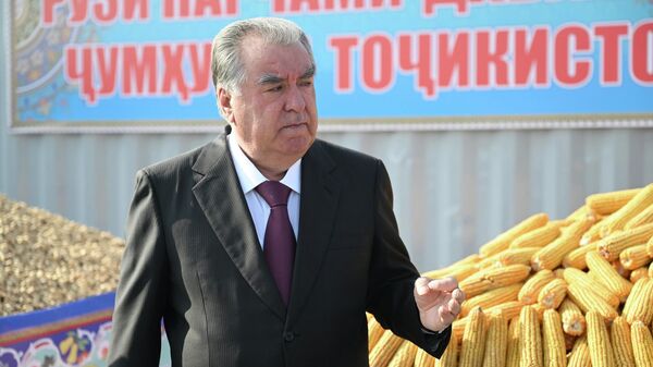 Эмомали Рахмон ввёл в эксплуатацию Предприятие по переработке и упаковке сухофруктов ООО Донаи Алмос  - Sputnik Таджикистан