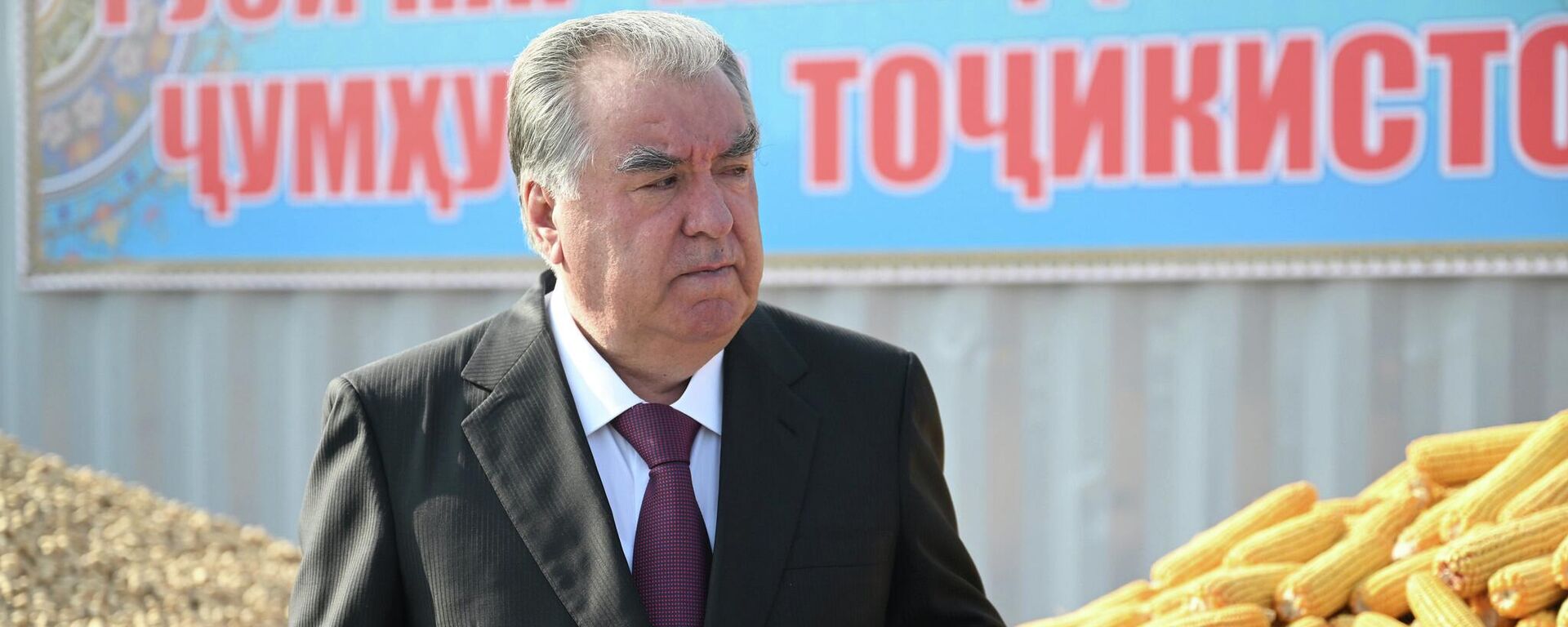 Эмомали Рахмон ввёл в эксплуатацию Предприятие по переработке и упаковке сухофруктов ООО Донаи Алмос - Sputnik Тоҷикистон, 1920, 21.11.2025