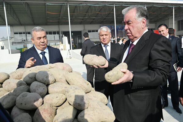 Сокинони маҳаллӣ дар корхонаи нави коркард ва бастабандии меваҳои хушк ба кор ҷалб карда мешаванд. Сокинони маҳаллӣ дар корхонаи нави коркард ва бастабандии меваҳои хушк ба кор ҷалб карда мешаванд. - Sputnik Тоҷикистон