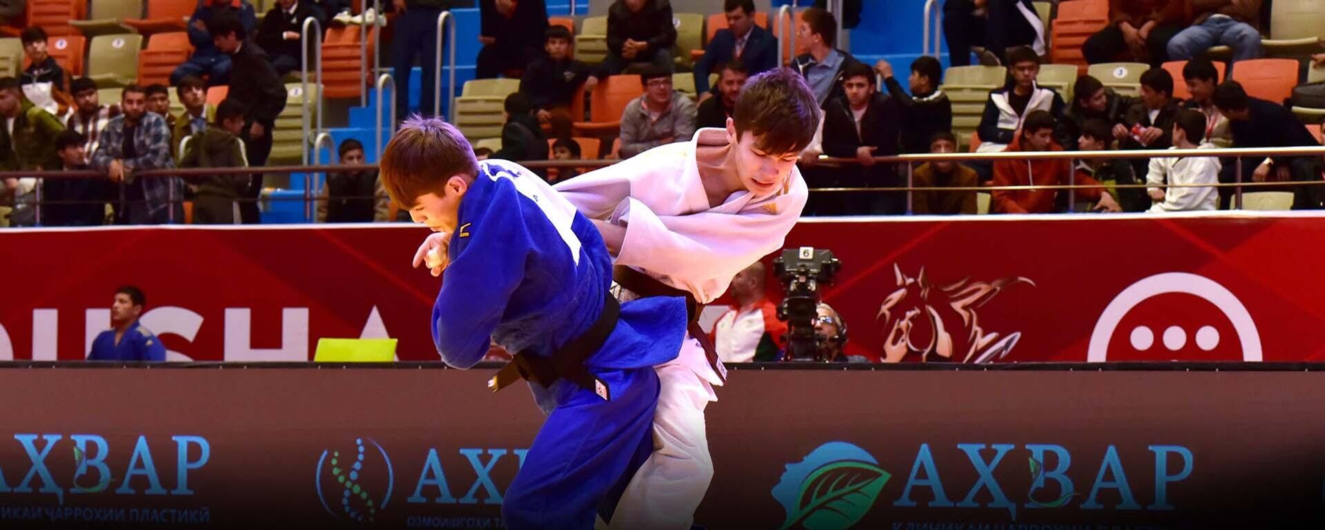 Лучшие дзюдоисты встретились на Кубке Азии в Душанбе - видео - Sputnik Таджикистан, 1920, 23.11.2025