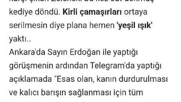 Зеленский превратился в испуганного кота - Sputnik Таджикистан