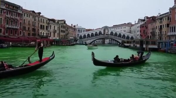 Грета Тунберг вылила химикаты в главный канал Венеции - Sputnik Таджикистан