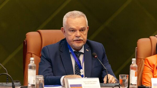 Чрезвычайный и Полномочный Посол Российской Федерации в Республике Таджикистан С.В.Григорьев  - Sputnik Таджикистан