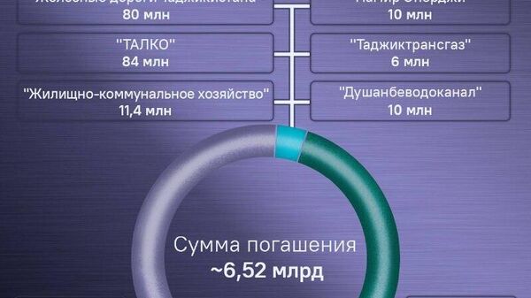 Барки Точик направит 1,55 млрд сомони на покрытие госдолга Таджикистана - Sputnik Таджикистан