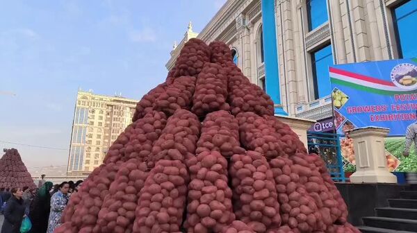 В Душанбе прошел Фестиваль картофеля - Sputnik Таджикистан