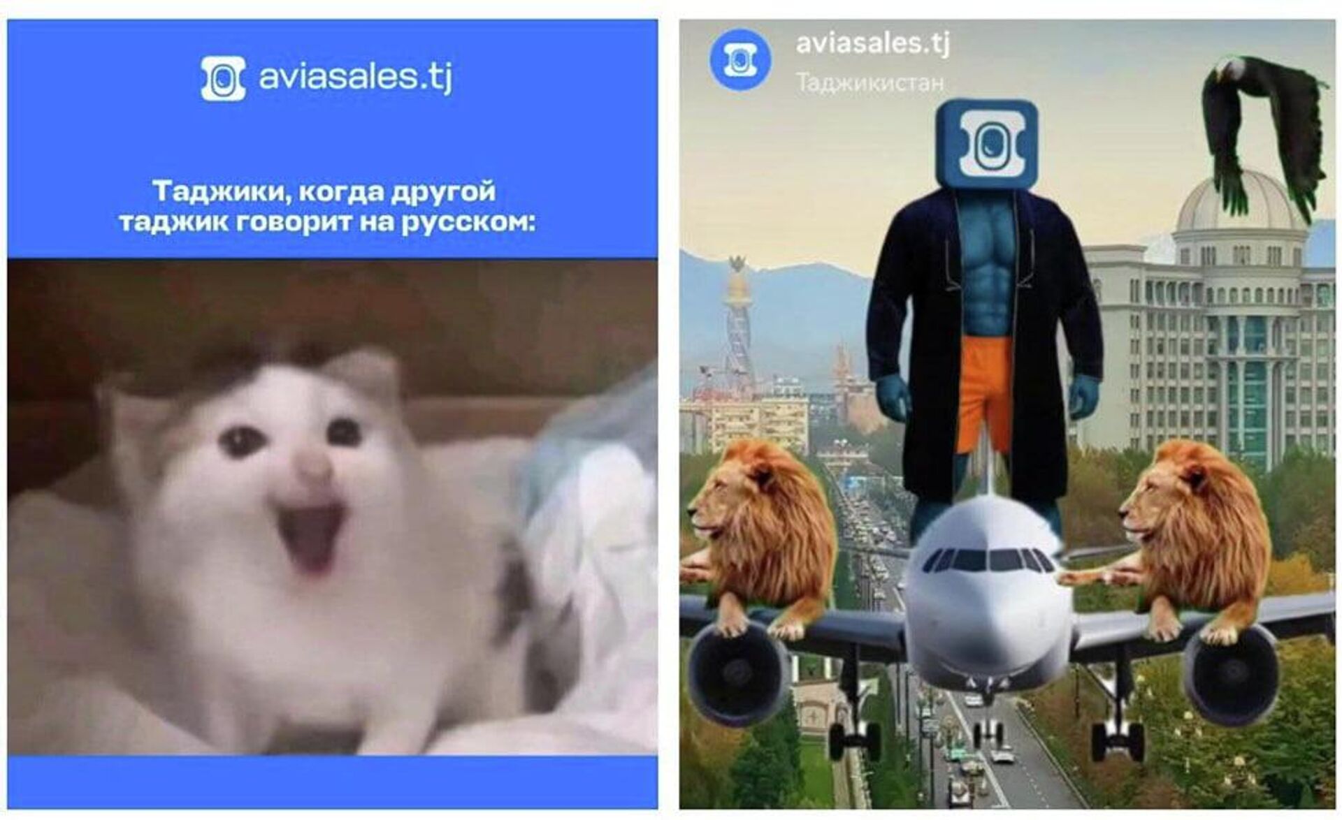 Скрин Авиасейлс - Sputnik Таджикистан, 1920, 30.11.2025