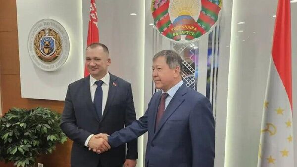 Таджикистан и Беларусь будут вместе производить беспилотники и бороться с киберпреступностью - Sputnik Таджикистан