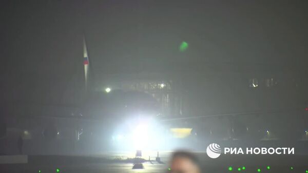 Владимир Путин прилетел в Индию с двухдневным визитом - Sputnik Таджикистан