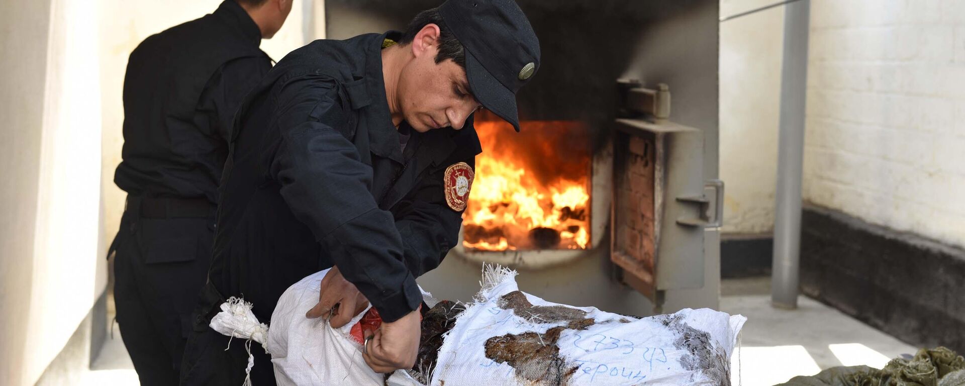 Уничтожение наркотических средств в Таджикистане - Sputnik Тоҷикистон, 1920, 07.12.2025