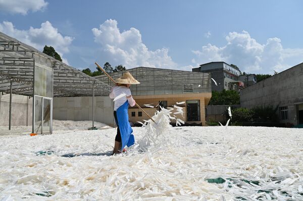 В Китае сотрудник обрабатывает гусиные перья для экспорта на фабрике компании Chengdu Chengyu Sports Goods Co., Ltd, в Чэнду, провинция Сычуань, Китай. В Китае сотрудник обрабатывает гусиные перья для экспорта на фабрике компании Chengdu Chengyu Sports Goods Co., Ltd, в Чэнду, провинция Сычуань, Китай. - Sputnik Таджикистан