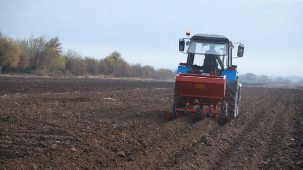 Давлатали Саид проверил ход посадки картофеля в Хатлоне - Sputnik Таджикистан