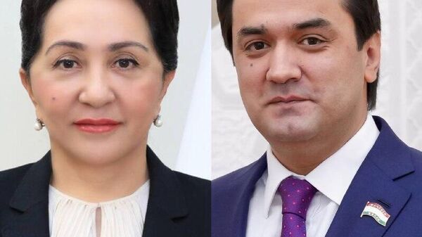 Рустами Эмомалӣ вакилони Сенати Олий Маҷлисро бо Рӯзи Конститутсияи Ӯзбекистон шодбош гуфт - Sputnik Тоҷикистон