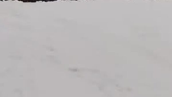 На трассе Душанбе — Чанак ограничат движение грузовиков - Sputnik Таджикистан