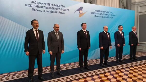 Сарвазирони кишварҳои узви Иттиҳоди иқтисодии АвруОсиё ҷаласаи Шӯрои байниҳукуматии АвруОсиёро дар ҳайати маҳдуд оғоз карданд - Sputnik Тоҷикистон