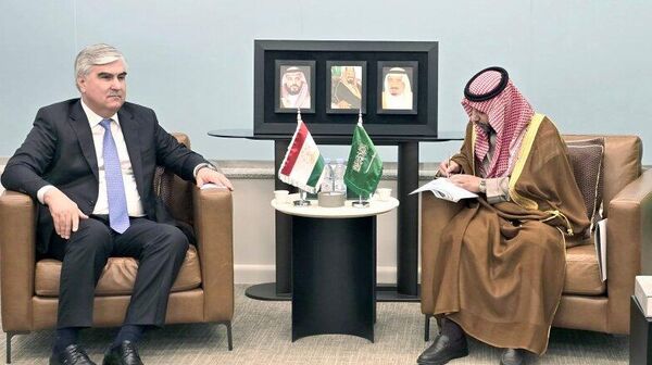 Таджикистан получит больше саудовских инвестиций - Sputnik Таджикистан