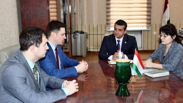 Донишкадаи давлатии санъати тасвирӣ ва дизайни Тоҷикистон бо «Россотрудничество» ҳамкориро густариш медиҳад - Sputnik Тоҷикистон