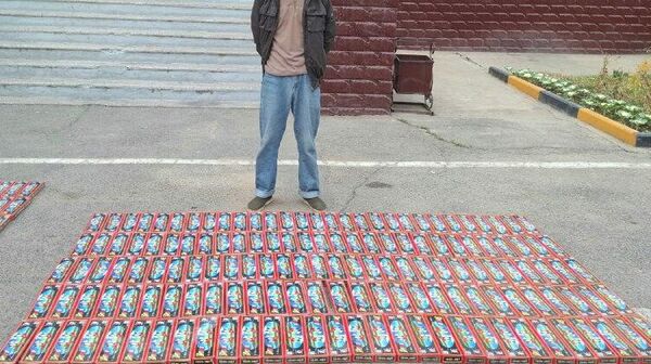 В Душанбе пресекли незаконную продажу крупной партии пиротехники - Sputnik Таджикистан